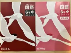 新品】四谷大塚 予習シリーズ 国語 6年生下 新訂版 有名校対策 解答