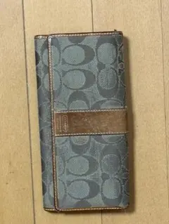 Item thumbnail for item 201ff2e9-6dad-4359-a0a3-8f04d5e4a37a