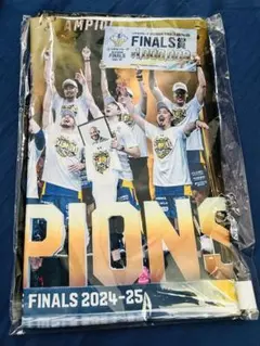 Item thumbnail for item 1b8a3097-39d1-48cc-bb72-351b505be839