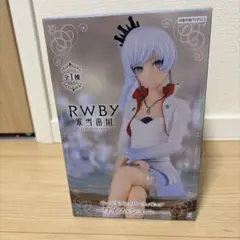 2026年最新】rwby 氷雪帝国 ぬーどるストッパーの人気アイテム - メルカリ