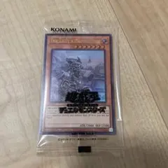遊戯王 The Lady's Protector 日本選手権店舗代表 優勝景品 - メルカリ