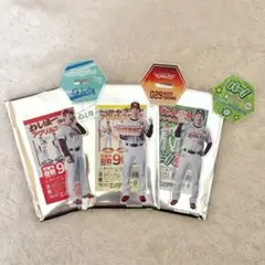 #029 德山 一翔 楽天イーグルス アクリルスタンド 3種セット