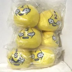 ジョジョワールド　一番くじ　G賞 もちもちもっち(S・P) ぬいぐるみ　コンプ