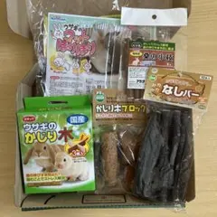SAN-X 森のなごみまくり ファスナーホルダー サンエックス 平成レトロ