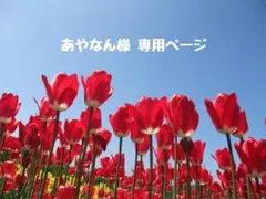 あやなん様 ♡ 専用ページ