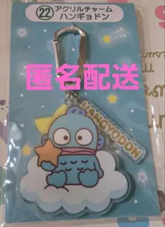 2025年　サンリオキャラクター大賞当たりくじ　ハンギョドン　アクリルチャーム
