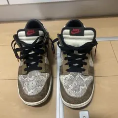 nike dunk low