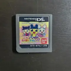 DSソフト たまごっちのなりきりチャレンジ