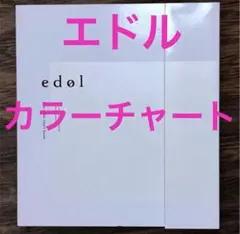 新品未使用　ルベル　エドル　カラーチャート　レベルスケール付きのサムネイル