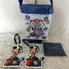 ★セット売り★東京ディズニーリゾート ポップコーンバケット他　計4点