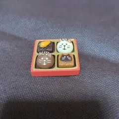コンコンブル　猫ショコラBOX
