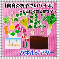 パネルシアター　食育　野菜　保育知育教材　幼稚園　療育　誕生会　発達