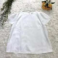 『テチチ』Te chichi フリルブラウス 半袖 ホワイト【M】シンプル 通勤