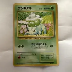 ポケモンカード　フシギダネ　マークなし　旧裏面