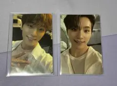 SEVENTEEN SECTOR 17 ディノ