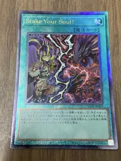 【遊戯王】ステイクユアソウル【レリーフ】