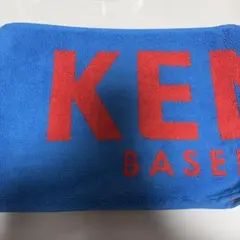 健大高崎 野球 応援グッズ