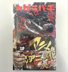 カグラバチ 11巻 シュリンク付き、特典付きのサムネイル