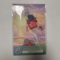 叢雲カゲツ 海の家 アクスタ MECHATU-A にじさんじ