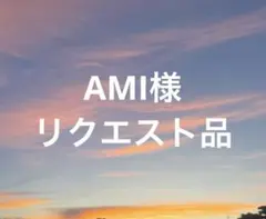 AMI様 リクエスト 4点 まとめ商品