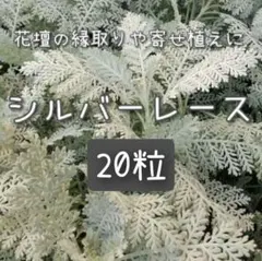 湧水の杜様 リクエスト 7点 まとめ商品