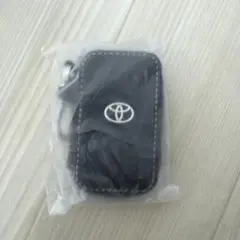 Item thumbnail for item 75309e0b-8da8-4438-bd93-338b5a8db8c3