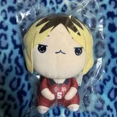 1/ハイキュー もちぴこ BIG ぬいぐるみ 孤爪研磨