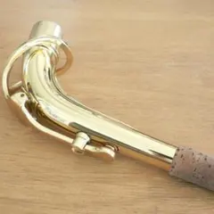 Item thumbnail for item 7f1457aa-b42c-4977-a561-e5aefad2be31