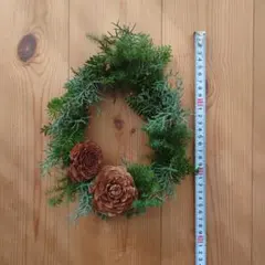 Item thumbnail for item 367037df-384a-4cca-8b42-ca8dd2e864c9