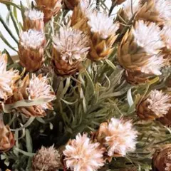 irodori様 リクエスト 3点 まとめ商品