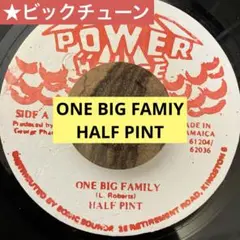 レゲエ　レコード★★ONE BIG FAMIY/ HALF PINT