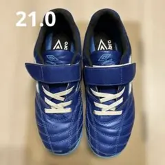 Item thumbnail for item cd80a242-d8b4-462b-93ce-3a4452ebe305