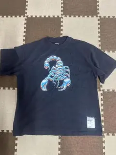 Item thumbnail for item 88b108a1-16c5-48a3-a0d6-290aa2121287