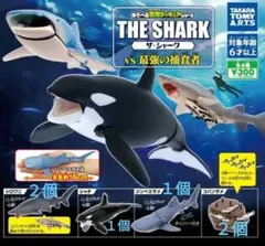 サメ フィギュア 3点セット SHARKS OF THE WORLD - メルカリ