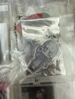 新品未使用品＝LOVE 大場花菜 ペンライト2026＆サングラス&フィルムセット 2026年最新】大場花菜 ペンライトチャームの人気アイテム - メルカリ