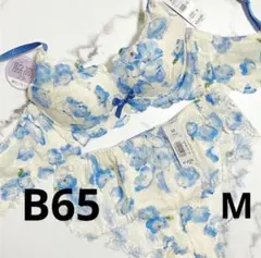 エメフィール カーロフィオーレ カシュクールレース脇高ブラ(R) &ショーツ