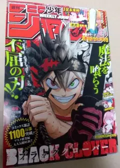 週刊少年ジャンプ 2008年03号 表紙巻頭カラー 新連載 MUDDY - メルカリ