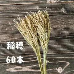 稲穂60本　お正月 花材 アレンジメント ドライフラワー しめ縄 飾り リース