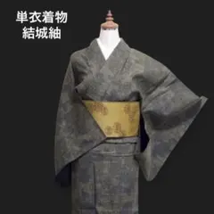 b23 正絹 袷 大島紬 黒地 極美品 着物 - メルカリ