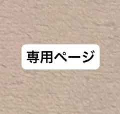 メル15918様専用ページ