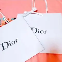 Dior ディオール 紙袋 ギフトバッグ ショップ袋 ショッパー