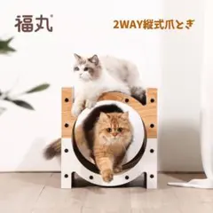 Item thumbnail for item afe233cc-8ebf-41f8-9e32-5f6bfa5b5c20