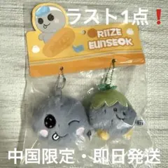 riize ウンソク アイドル