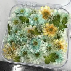 りんご✾様 リクエスト 2点 まとめ商品