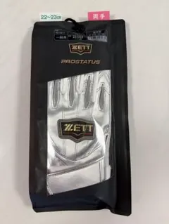 Item thumbnail for item 9abc2afc-dcb3-46b8-9184-74fc18b889d6