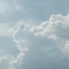 れたすさま専用