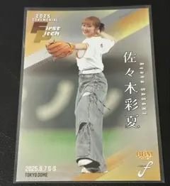 Item thumbnail for item 688cd501-ddb7-4800-8858-333cb7cc5fbd