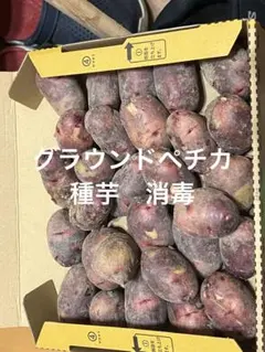 user_ae4f6a79様 リクエスト 2点 まとめ商品