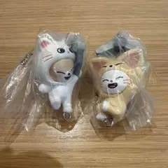 SKZOO つまんでつなげてますこっとvol.2 ジニレット フォクシニー