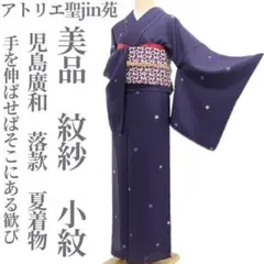 美品 児島廣和落款 夏着物 正絹 紗・薄物“パキッ☆夜のしじまに